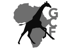 giraffe-conservation-foundation-athi-kapiti-conservancies-partners