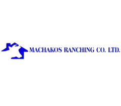 Untitled_design__1_-removebg-preview