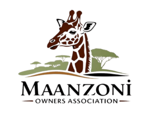 maanzoni-removebg-preview (2)