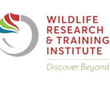 wrti-removebg-preview (5)